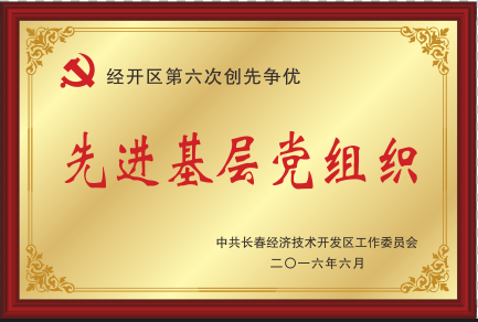 2016年先进下层党组织